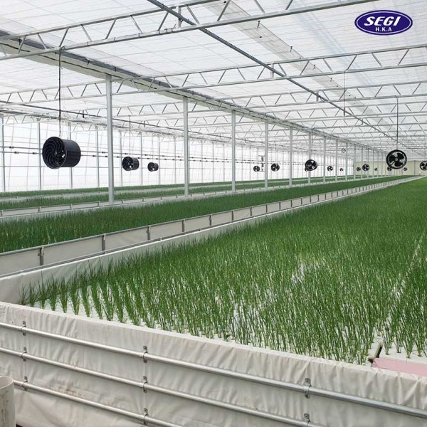 77c68062a2ca12272a92dc23c2af91e2_1680157